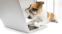 Imágenes profesionales para blogs