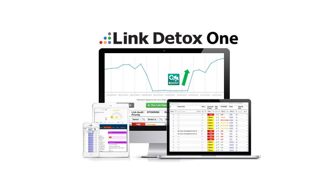 Link Detox One: Recupera tu web de una penalización