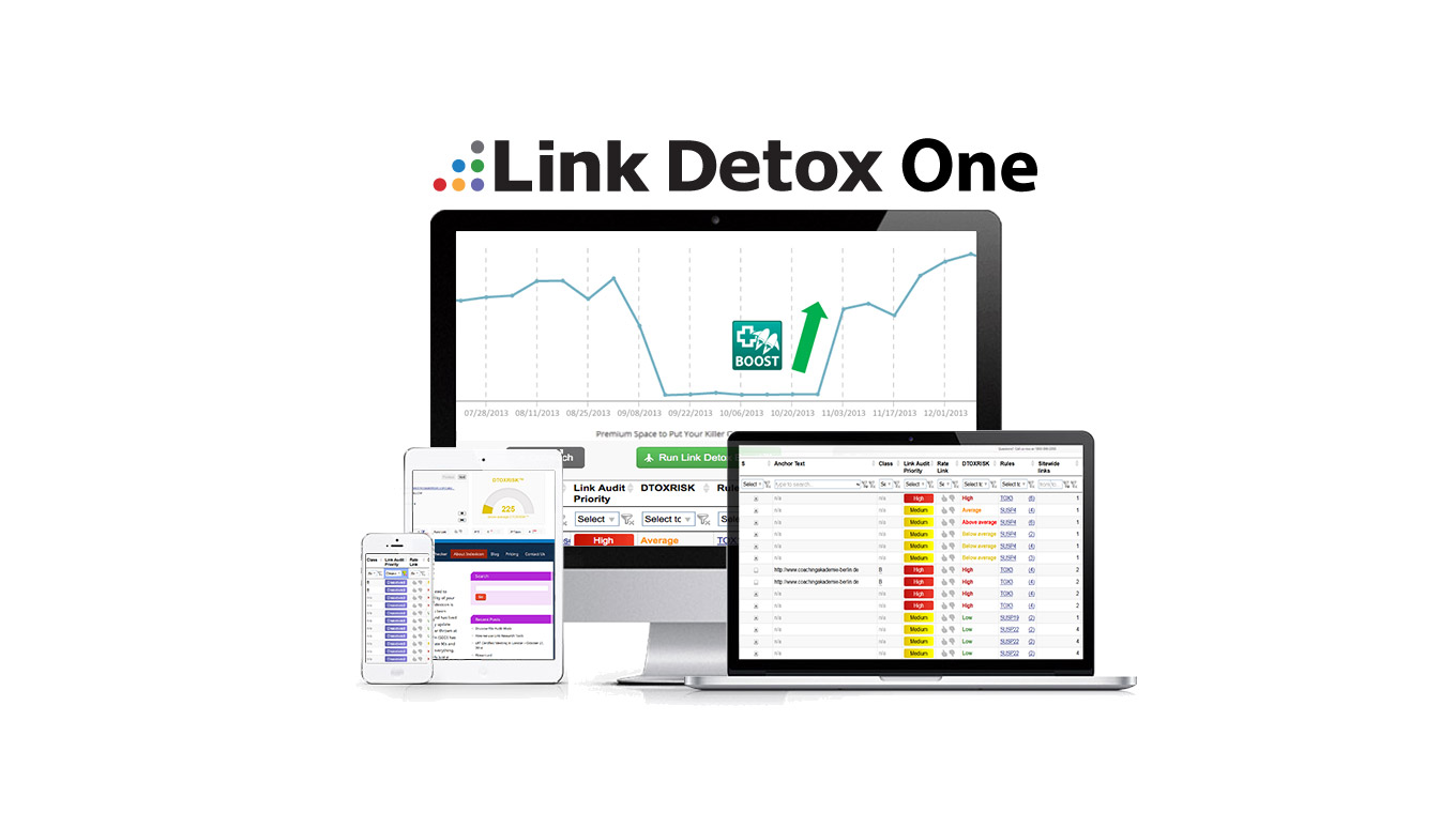 Link Detox One es tu arma contra las Sanciones de Google. Es muy pontente y fácil de usar, es la herramienta SEO ideal para cualquier pyme.