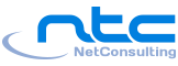 NetConsulting: Proyectos de éxito en Internet