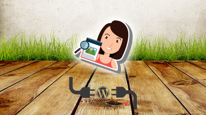 Mostrar dimensiones imagen destacada en topbar | WordPress plugin