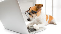 Por qué hacer una web con WordPress